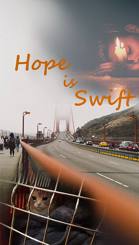 Hope Is Swift by NOT A BOOK, NOT A BOOK