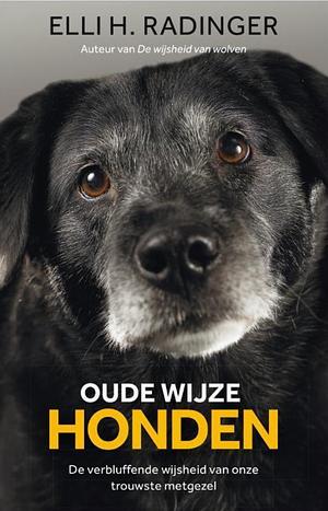 Oude wijze honden by Elli Radinger