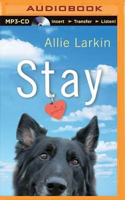 Stay by Allie Larkin