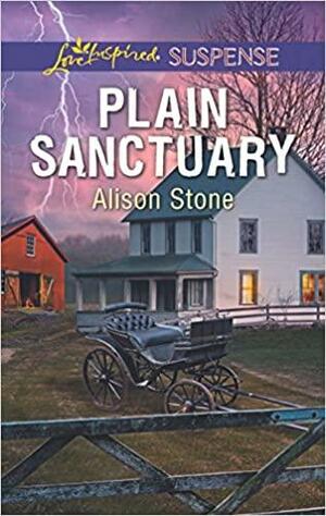 Plain Sanctuary by Alison Stone