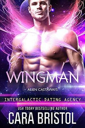 Wingman by Cara Bristol