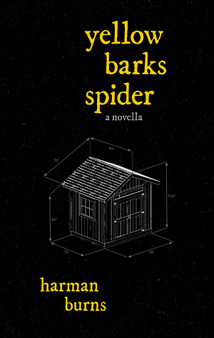 Yellow Barks Spider by Harman Burns