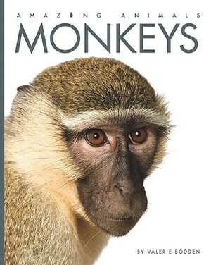 Monkeys by Valerie Bodden