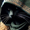 boostergoldactual's profile picture