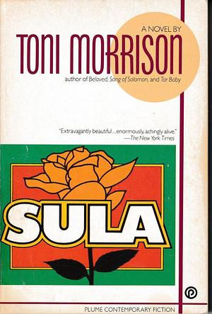 Sula by Toni Morrison