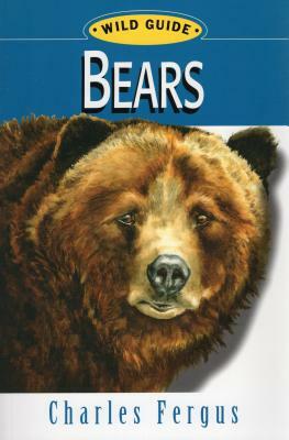 Bears: Wild Guide by Charles Fergus