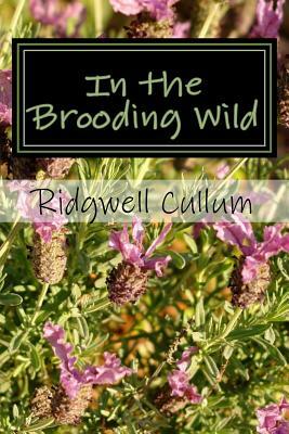 In the Brooding Wild by Ridgwell Cullum