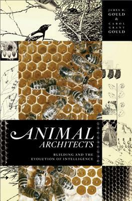 Animal Architects: Building and the Evolution of Intelligence by Carol Grant Gould, James L. Gould
