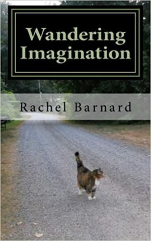 Wandering Imagination by Rachel Barnard