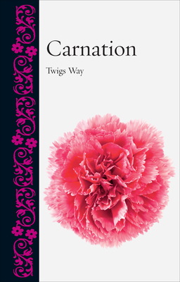 Carnation by Twigs Way