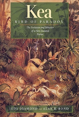 Kea, Bird of Paradox: The Evolution and Behavior of a New Zealand Parrot by Judy Diamond