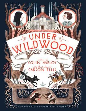 Under Wildwood by Colin Meloy