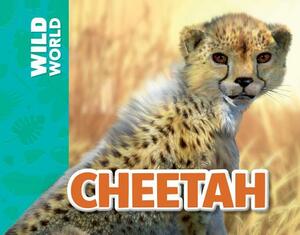 Cheetah by Meredith Costain