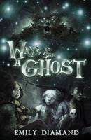Ways to See a Ghost by Emily Diamand
