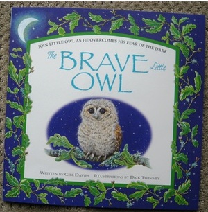 The Brave Little Owl by Gill Davies