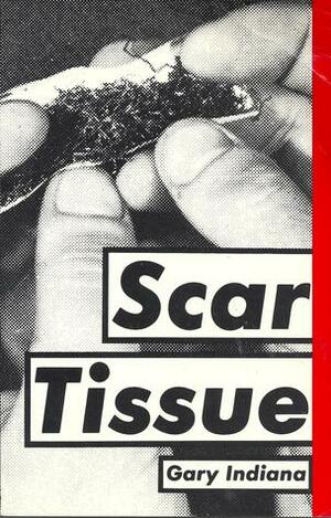 Scar Tissue & Other Stories by Gary Indiana