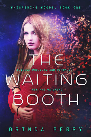 The Waiting Booth by Brinda Berry