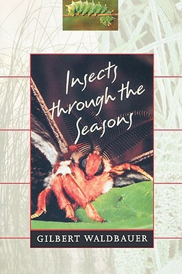 Insects Through the Seasons by Gilbert Waldbauer