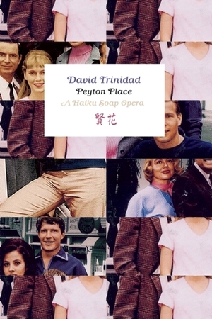 Peyton Place: A Haiku Soap Opera by David Trinidad