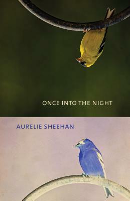 Once Into the Night by Aurelie Sheehan