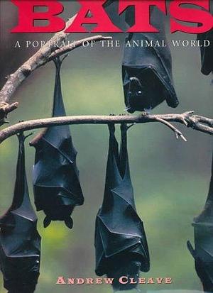 Bats by Andrew Cleave