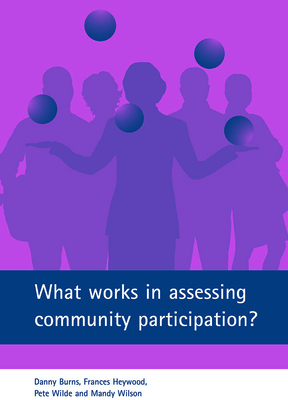 What Works in Assessing Community Participation? by Frances Heywood, Pete Wilde, Danny Burns