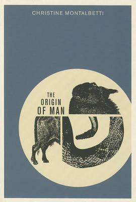 The Origin of Man by Christine Montalbetti