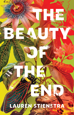 The Beauty of the End by Lauren Stienstra