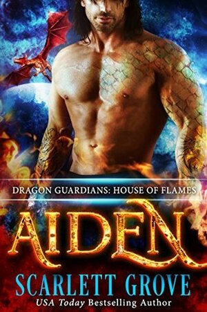 Aiden: House of Flames by Scarlett Grove