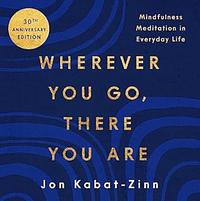 Wherever You Go, There You Are by Jon Kabat-Zinn