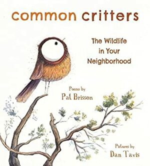 Common Critters: The Wildlife in Your Neighborhood by Pat Brisson, Dan Tavis