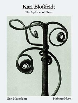 Karl Blossfeldt: Alphabet of Plants: Masters of the Camera by Ann Wilde, Karl Blossfeldt, Gert Mattenklott, Jurgen Wilde