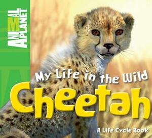 My Life in the Wild: Cheetah by Phil Whitfield, Animal Planet