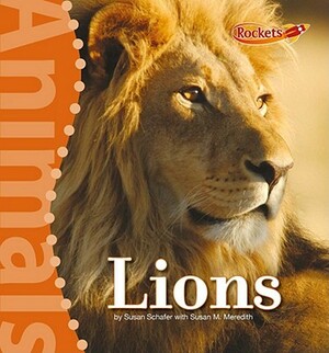 Lions by Susan Schafer