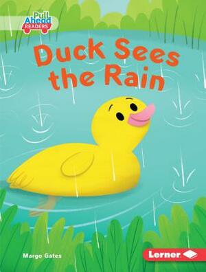 Duck Sees the Rain by Margo Gates