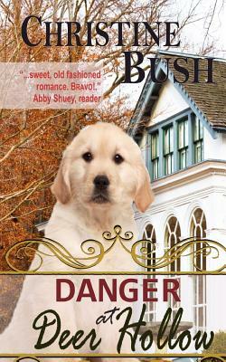 Danger at Deer Hollow by Christine Bush