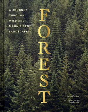 Forest by Matt Collins