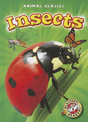 Insects by Kari Schuetz