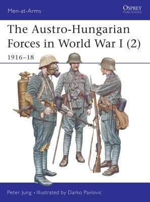 The Austro-Hungarian Forces in World War I (2): 1916-18 by Peter Jung