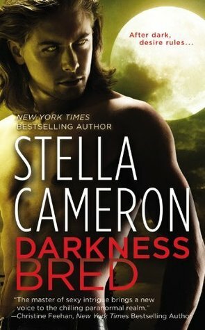 Darkness Bred by Stella Cameron