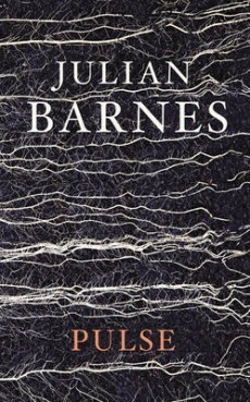 Pulse by Julian Barnes