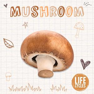 Mushroom by Brenda Mchale