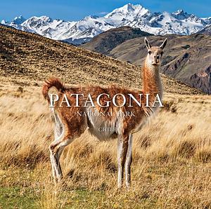 Patagonia National Park: Chile by Michelle Bachelet, Yvon Chouinard, Kristine McDivitt Tompkins