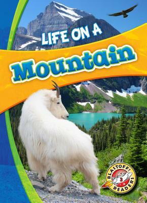 Life on a Mountain by Laura Hamilton Waxman