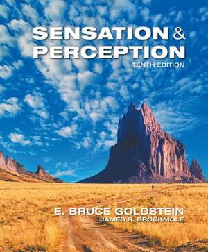 Sensation and Perception by E. Bruce Goldstein, James Brockmole