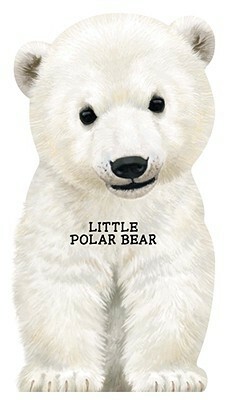 Little Polar Bear by Laura Rigo, Giovanni Caviezel