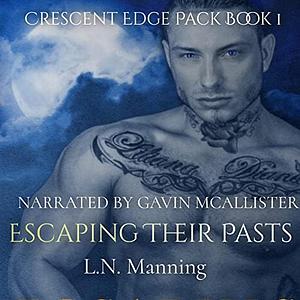 Escaping Their Pasts by L.N. Manning