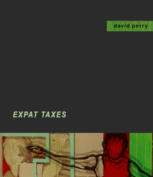 Expat Taxes by David Perry