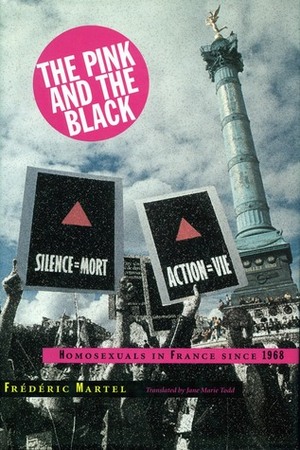 The Pink and the Black: Homosexuals in France Since 1968 by Frédéric Martel‏, Jane Todd