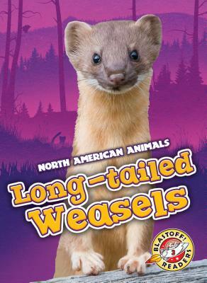 Long-Tailed Weasels by Rebecca Sabelko